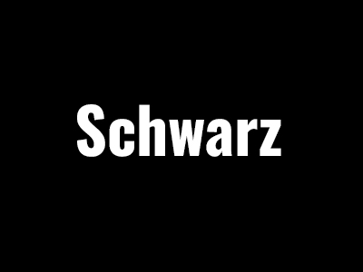Profil DS100 Schwarz